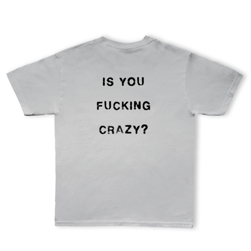 Travis Scott Is You f**** Crazy? Tee