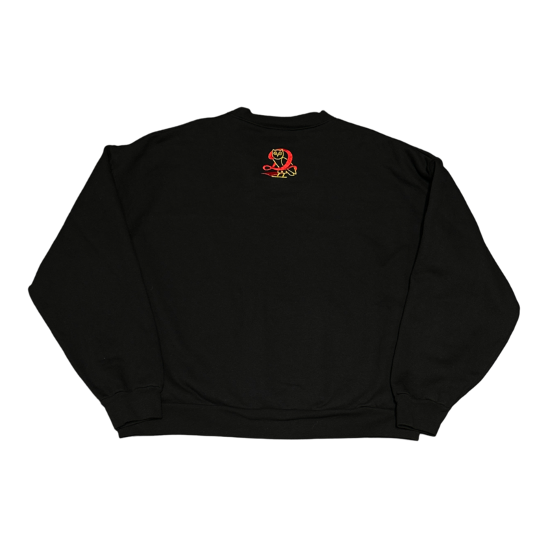 Drake IAAB Tour "Big As The What" Sweatshirt